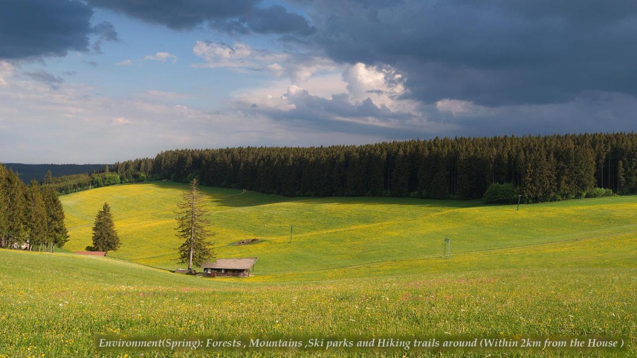 Entire House In Schwarzwald With Mountain View, Private Gym,Sauna And Garden Villa Unterkirnach Екстериор снимка