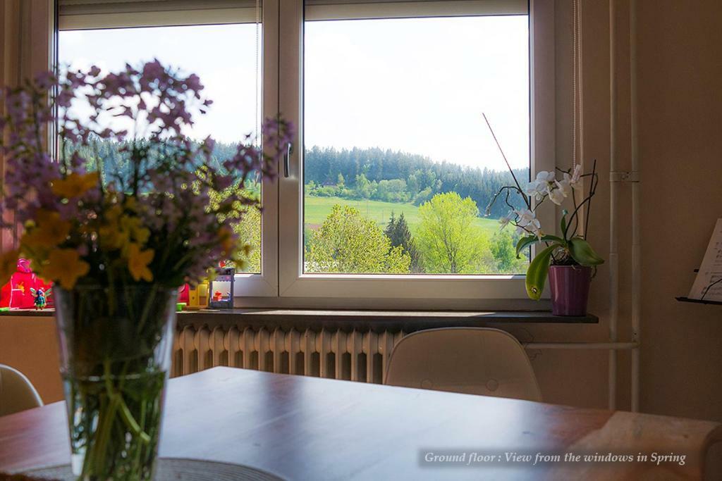 Entire House In Schwarzwald With Mountain View, Private Gym,Sauna And Garden Villa Unterkirnach Екстериор снимка