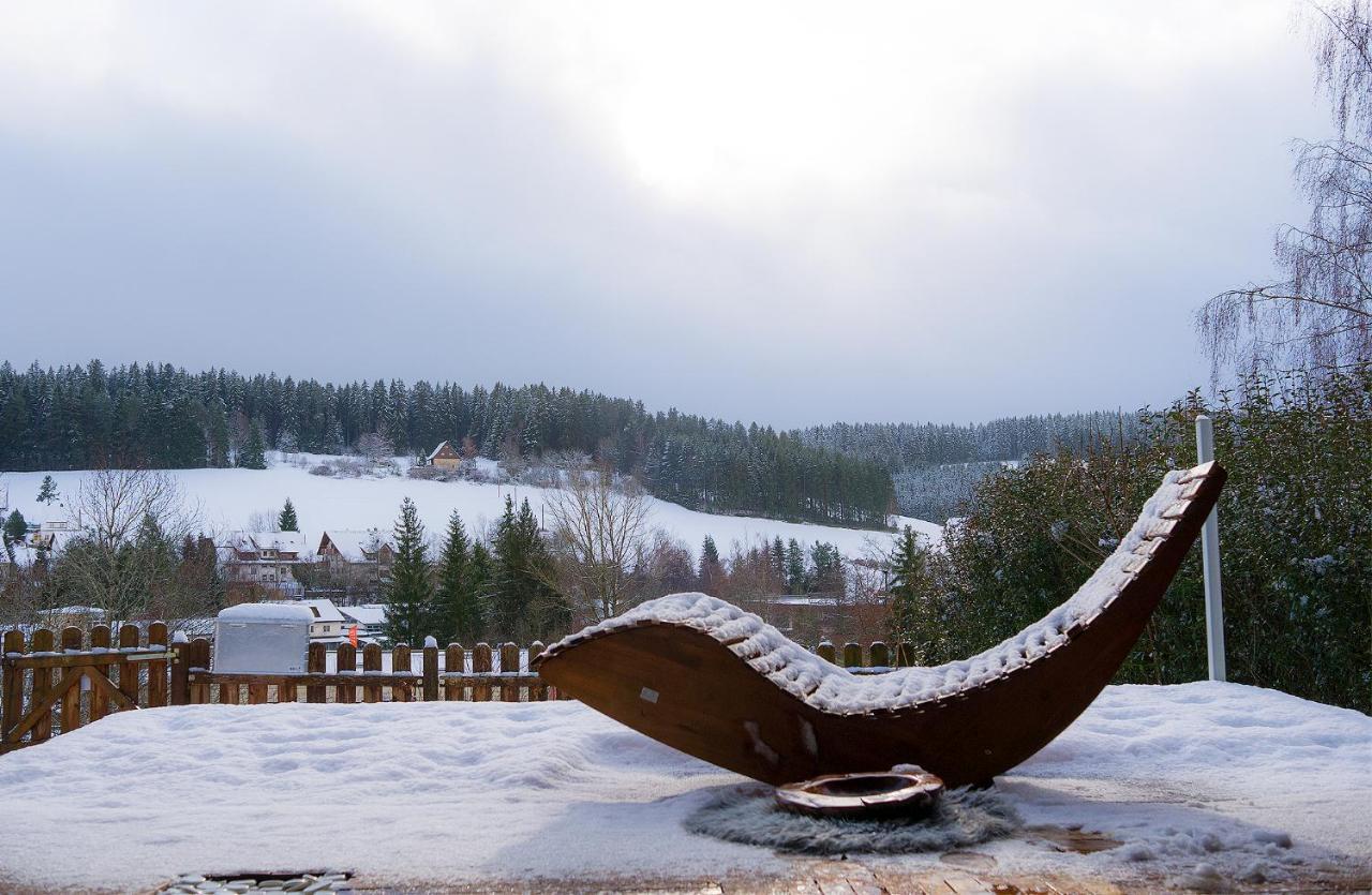 Entire House In Schwarzwald With Mountain View, Private Gym,Sauna And Garden Villa Unterkirnach Екстериор снимка